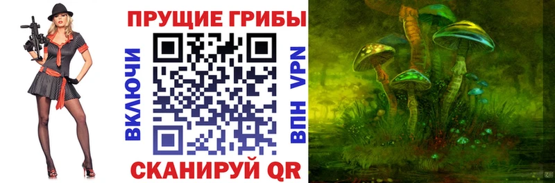 Псилоцибиновые грибы Cubensis  Свободный 